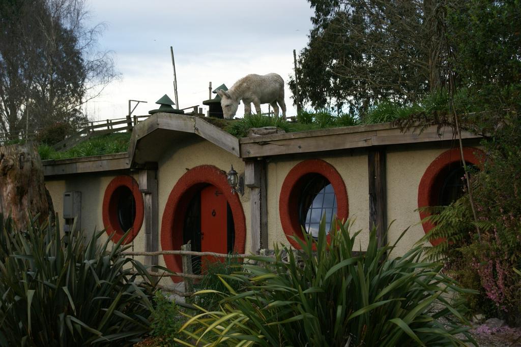 Woodlyn Park Motel Waitomo Caves Dış mekan fotoğraf